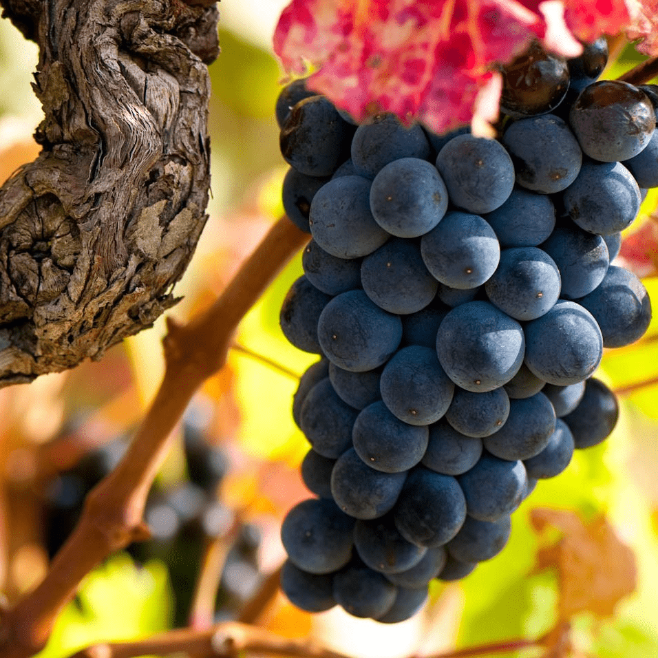 Photo de Jérôme DEMAIRE