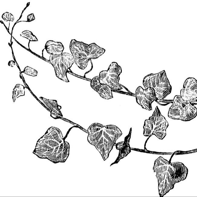 Photo de Gerard BARRE